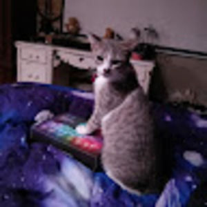 Meet your Posher, Jesse